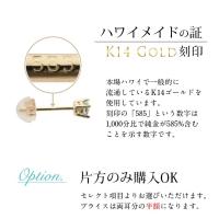 GE107-4 写真10