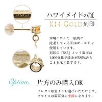 GE302-11 写真11