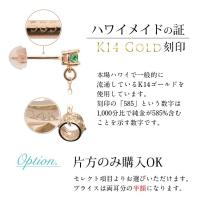 GE302R 写真12