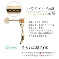 GE501-11 写真10