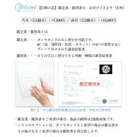 GE502W 写真17