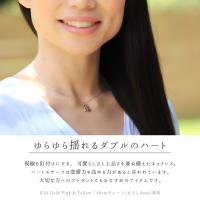 CG-GP101PY-CH1020 写真2