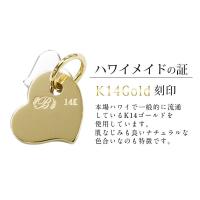 CG-GP101YW-CH123 写真4
