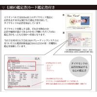 CG-GP103-CH123 写真13