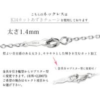 CG-GP105W-CH1020 写真9