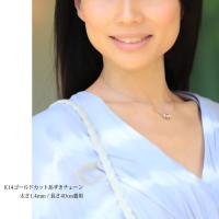 CG-GP1069-CH1020 写真3