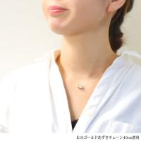 CG-GP1069P 写真7