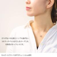 CG-GP1069P-CH123 写真4
