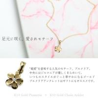 GP109-CH176-A 写真2