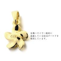 GP109-CH176-B 写真7