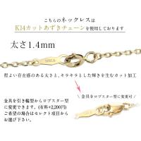 CG-GP110-CH1020 写真12