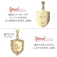 CG-GP111-CH123 写真8