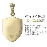 CG-GP111-CH1020 写真6