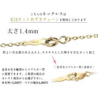 CG-GP113P-CH1020 写真11