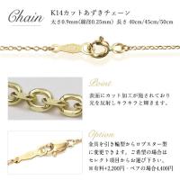 CG-GP114P-CH123 写真13