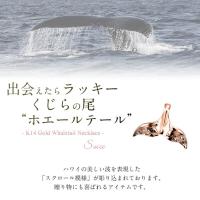 CG-GP114R-CH1020 写真2