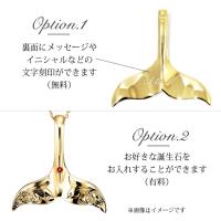CG-GP115-228SDC4 写真7