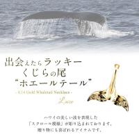 CG-GP115P-CH1020 写真2