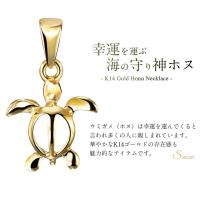 CG-GP116P-CH1020 写真2