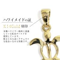 CG-GP116P-CH1020 写真5