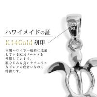 CG-GP116W 写真5