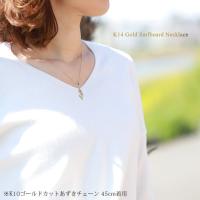 CG-GP121-228SDC4 写真3