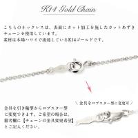 CG-GP124W 写真15