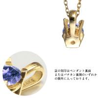 CG-GP501-12 写真8