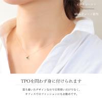 CG-GP501-5 写真5
