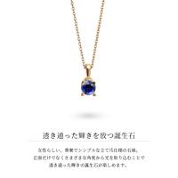 CG-GP501-9 写真3