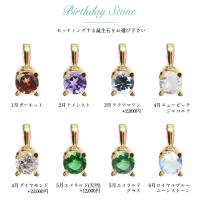 GP501-CH176-A 写真6