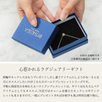 GP501-CH176-B 写真13