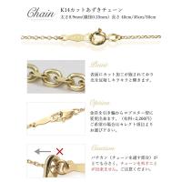 CG-GP501-CH123 写真11