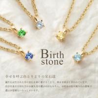 GP501-CH1020-B 写真2