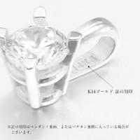 CG-GP501W 写真10