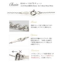 CG-GP501W-CH123 写真11