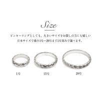SR401P 写真7