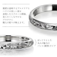 PR101P 写真2