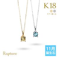  K18ゴールド 11月誕生石 シトリン ブルートパーズ ネックレス CG-RSP-29051-11