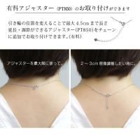 CG-RSP-29051PT-5 写真10
