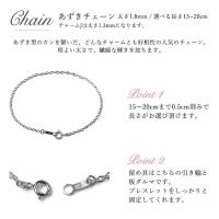 SCL11 写真9