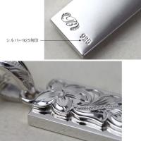 CG-SP311 写真10