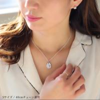 SP325SLP 写真4