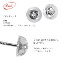 SE101 写真8