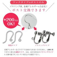 SE26901 写真10