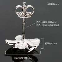 SE53228 写真2