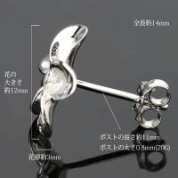 SE53238 写真2