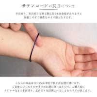 SN-004 写真8