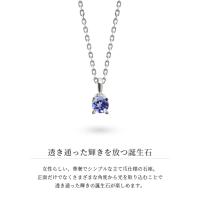 CG-SP-29051SV-12 写真3