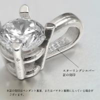 SP-29051SV-B 写真11